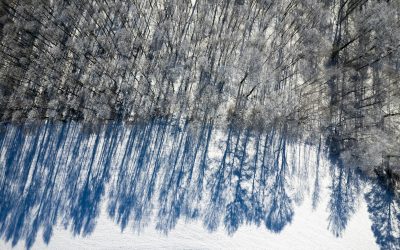 Utjecaj rane traume na strukturu ličnosti